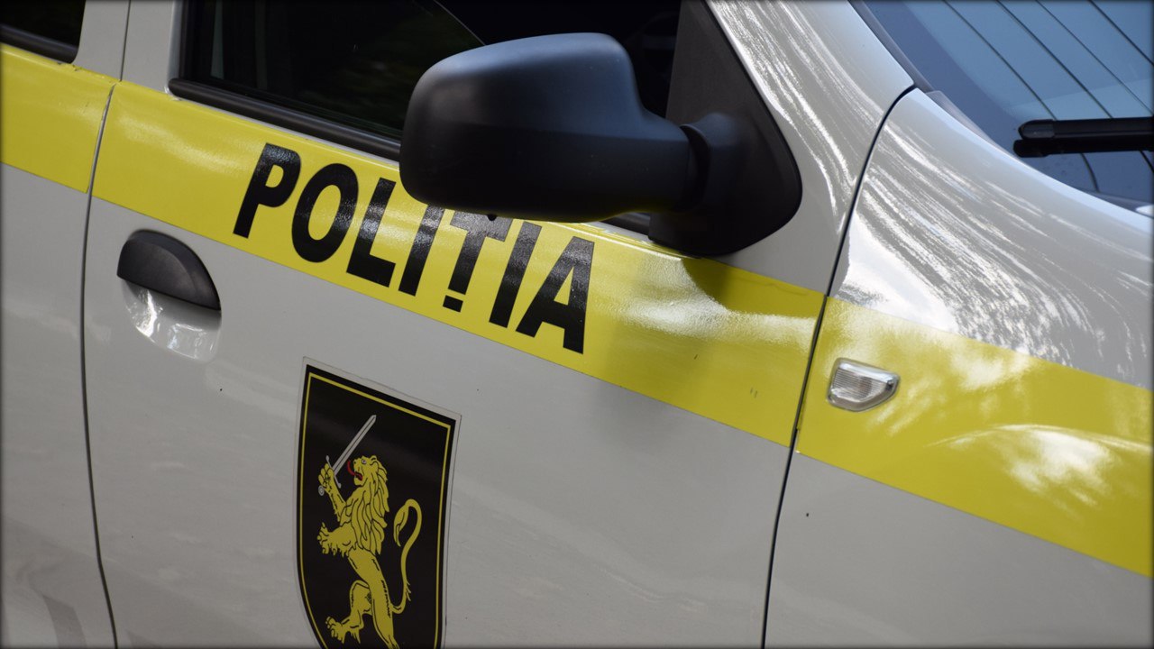 Ciuperci halucinogene și alte droguri de peste 100.000 de lei, descoperite în locuința unui chișinăuian