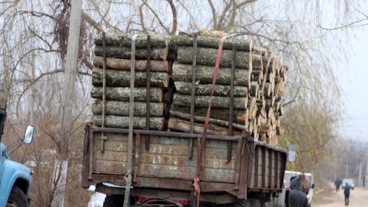 Reprezentanții ocolurilor silvice dau asigurări că toți cetățenii vor fi aprovizionați cu lemne