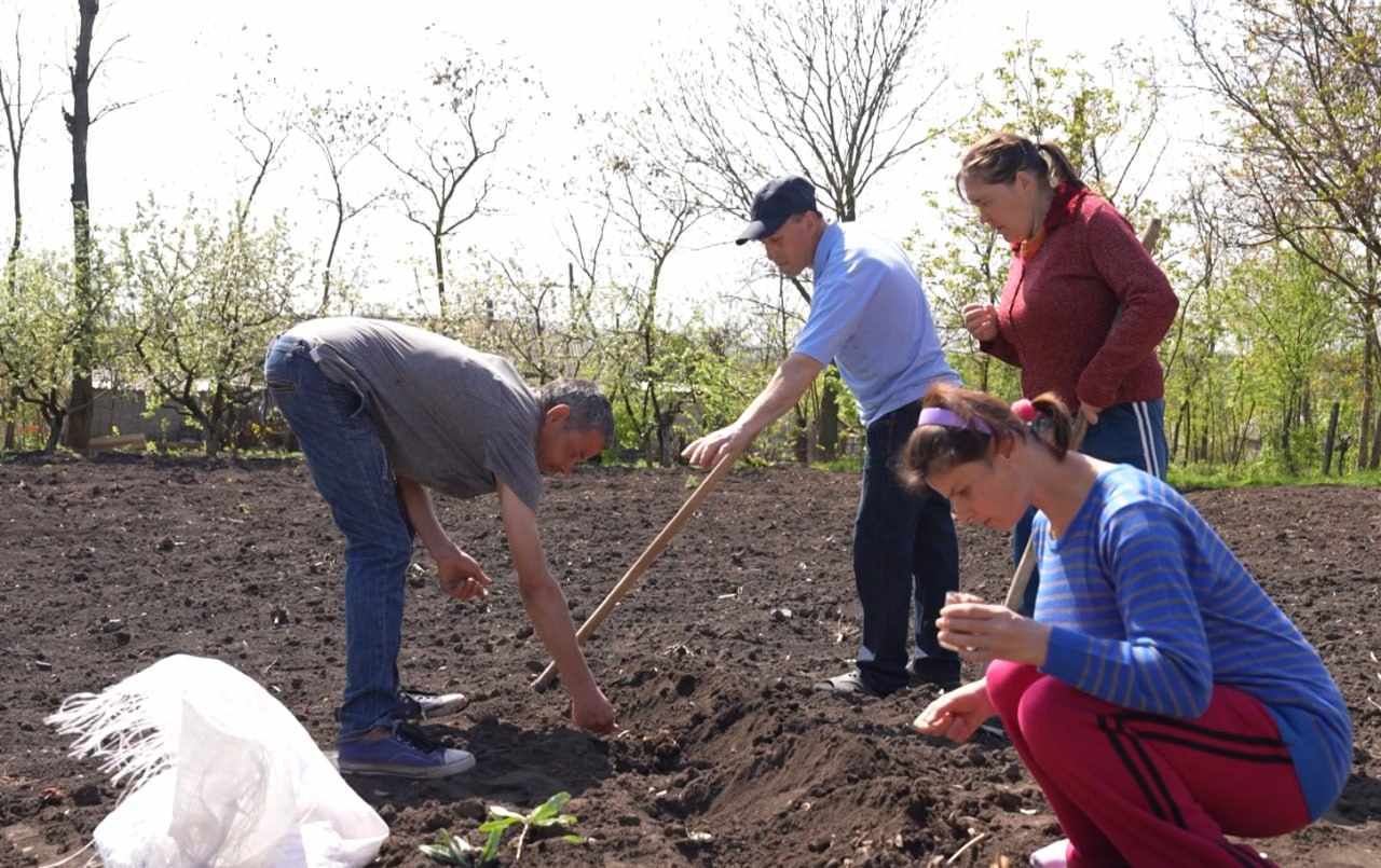 Cum se adaptează beneficiarii programului „Casa protejată” după părăsirea internatului psihoneurologic