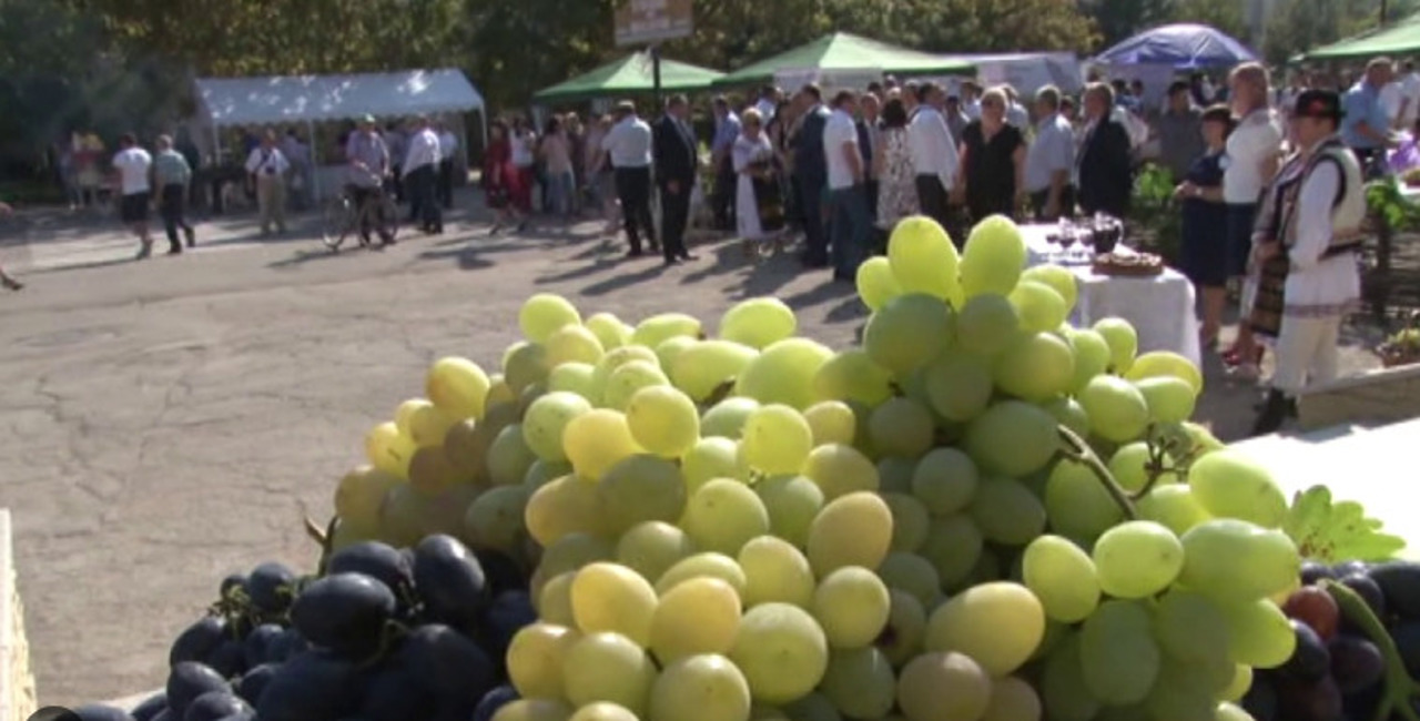 Cimișlia găzduiește duminică cea de-a XI-a ediție a Festivalului Național al Strugurelui