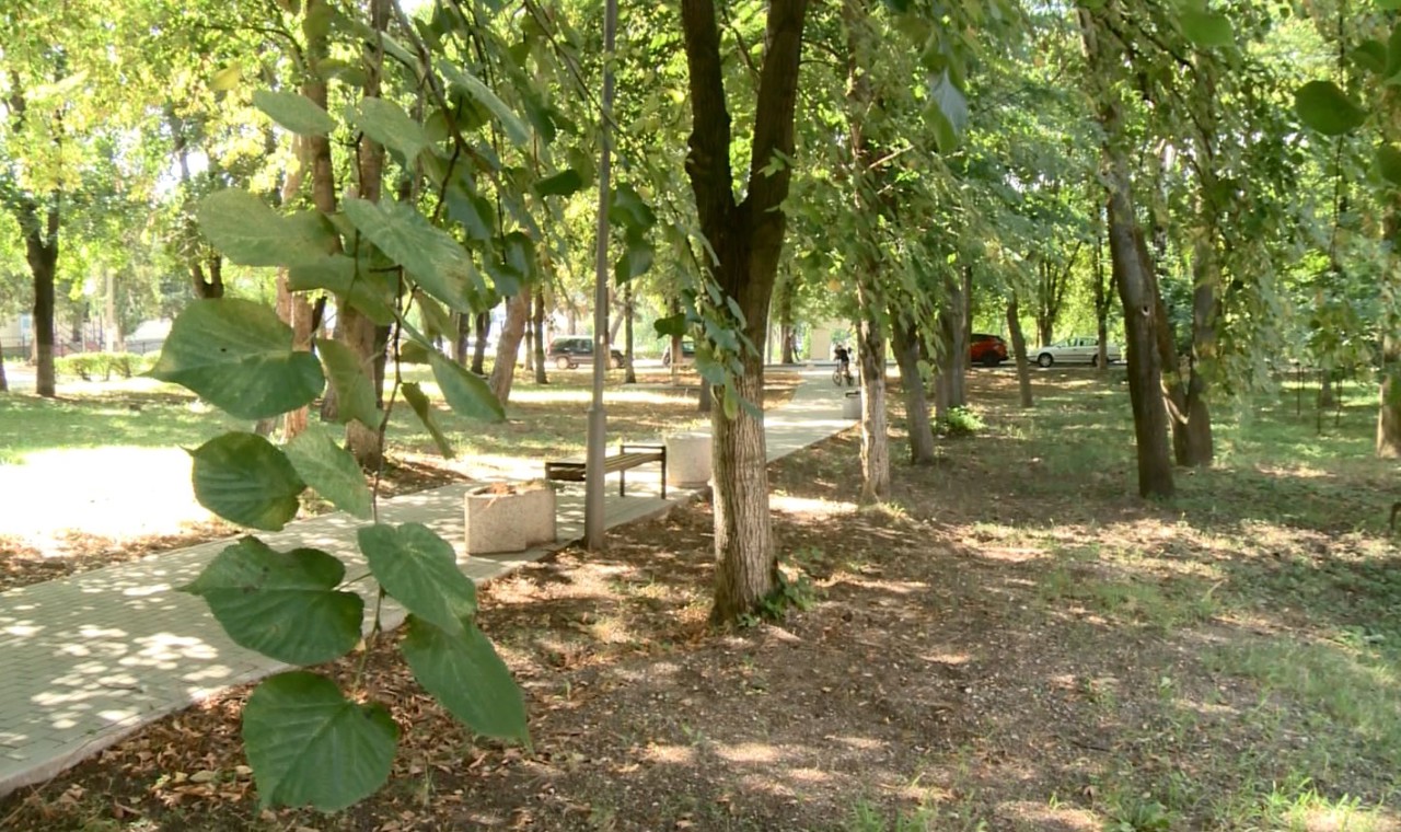 Două parcuri din Călărași sunt modernizate cu sprijinul diasporei și al comunității locale   