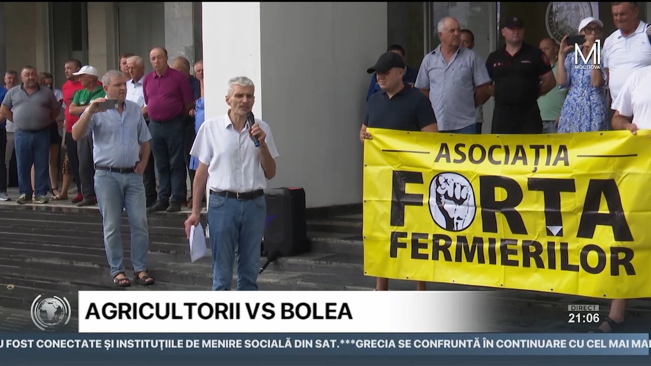 Nemulțumiți de condițiile impuse pentru obținerea subvențiilor, agricultorii au pichetat sediul Ministerului Agriculturii și Industriei Alimentare