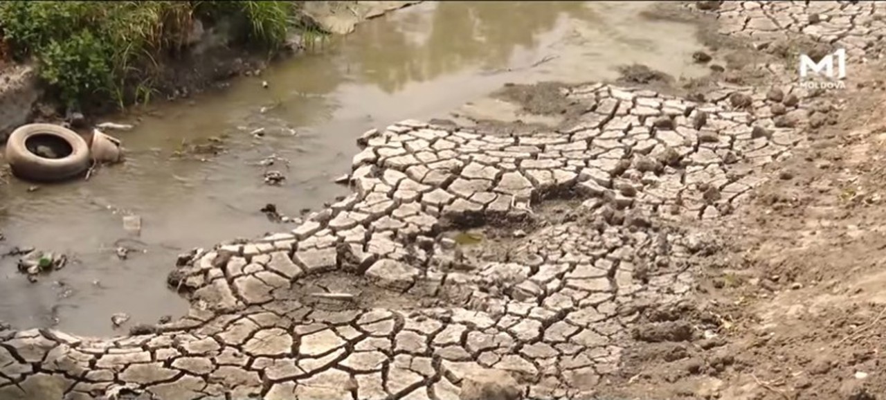 Râurile mici seacă, iar agricultorii din sudul țării cer stare de urgență. Soluțiile propuse de autorități