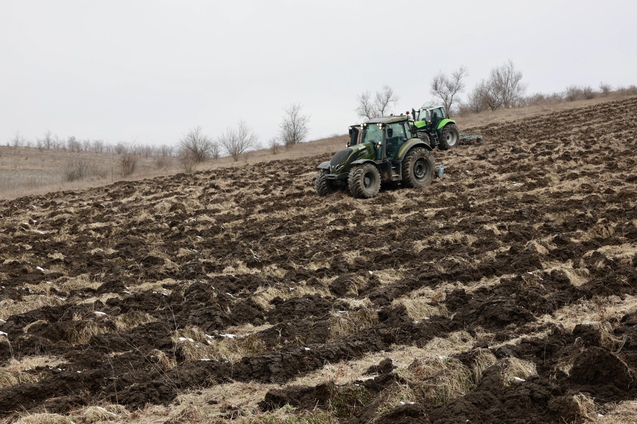 „Puieții se îmbolnăvesc, iar solul se intoxică”: specialiștii nu recomandă plantările de copaci pe terenuri cu deșeuri 