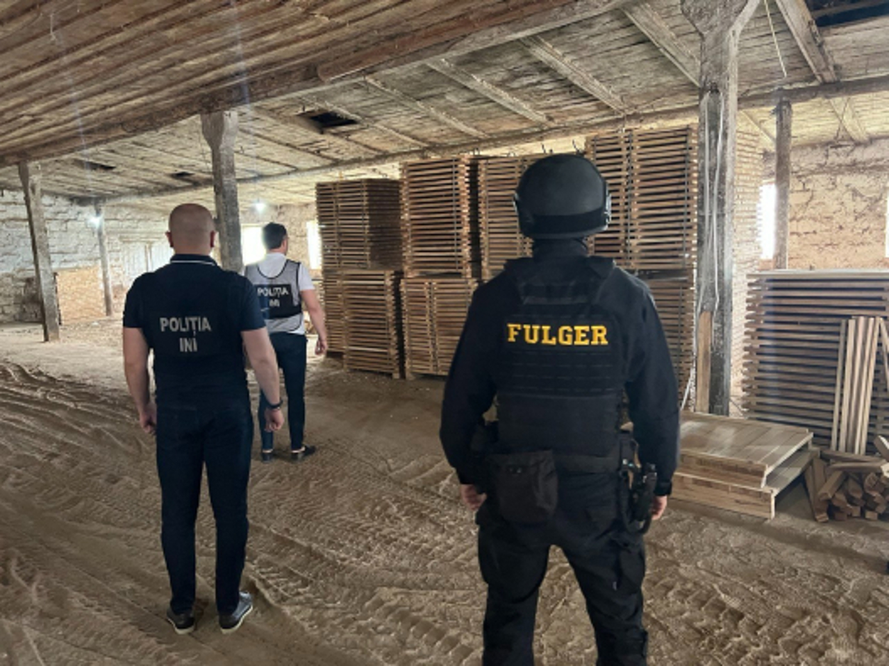 Contrabandă cu masă lemnoasă de circa 700.000 de lei, contracarată de oamenii legii. Doi bărbați, cercetați penal