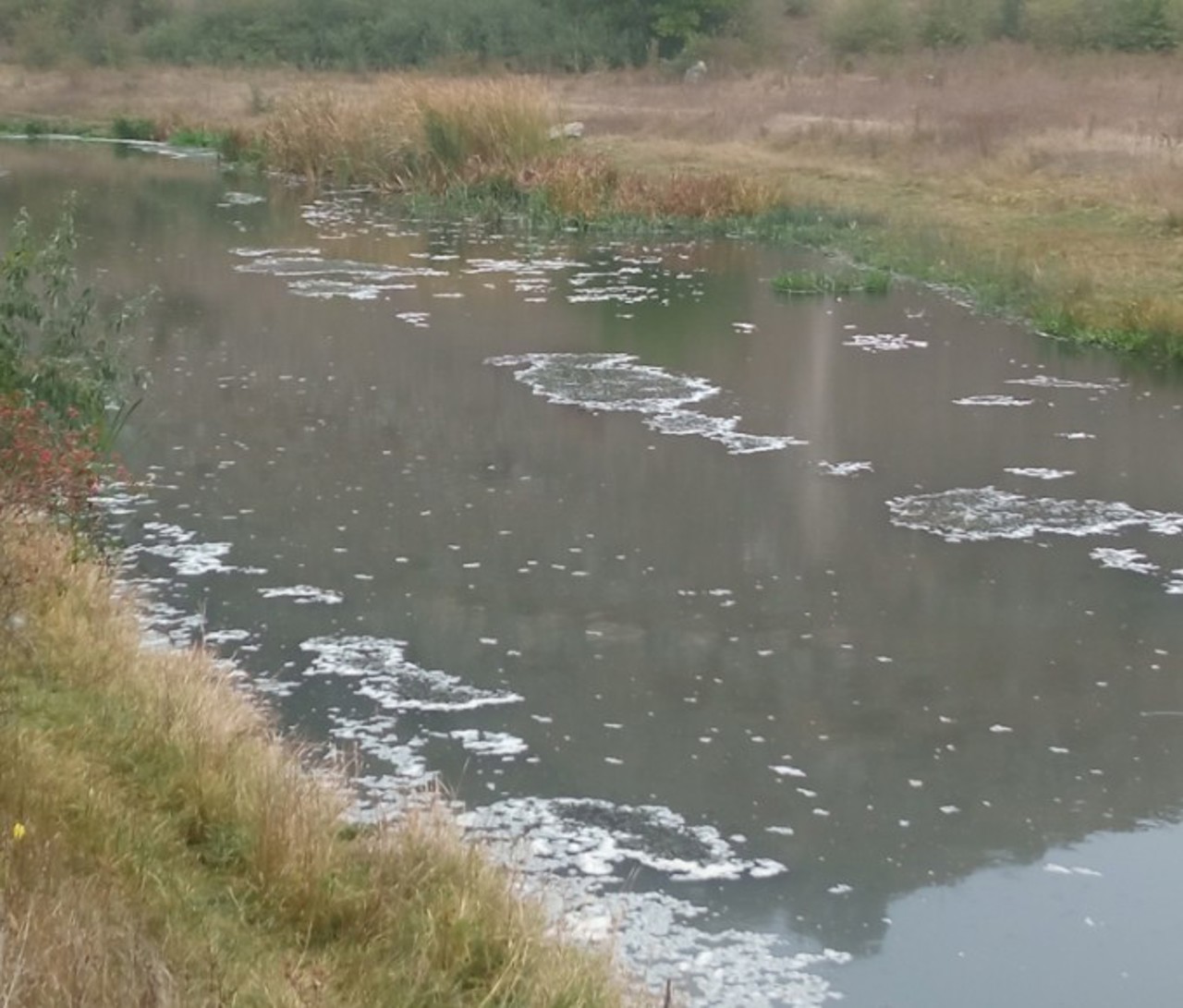 Alertă de poluare pe râul Răut. Pe suprafața apei a fost observată spumă