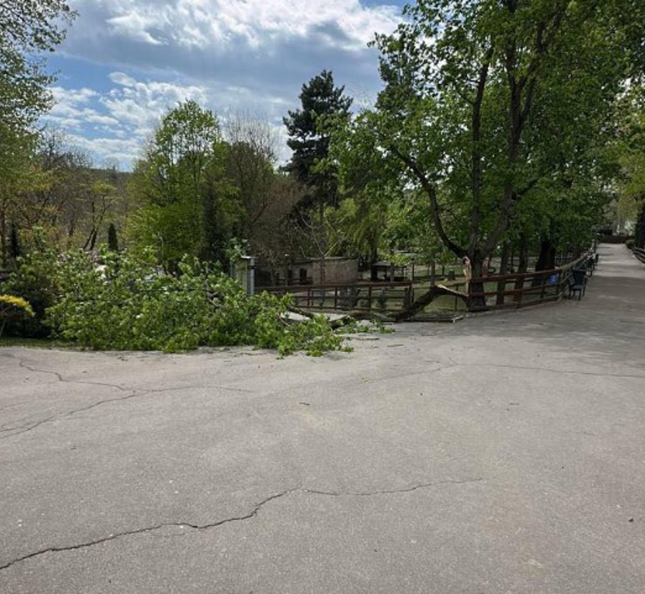 Detalii în cazul copilului rănit la Grădina Zoologică: Incidentul s-a produs în timp ce toți vizitatorii erau evacuați  