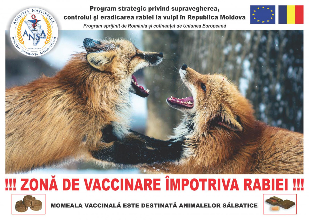 National Food Safety Agency starts fox rabies vaccination; issues public recommendations