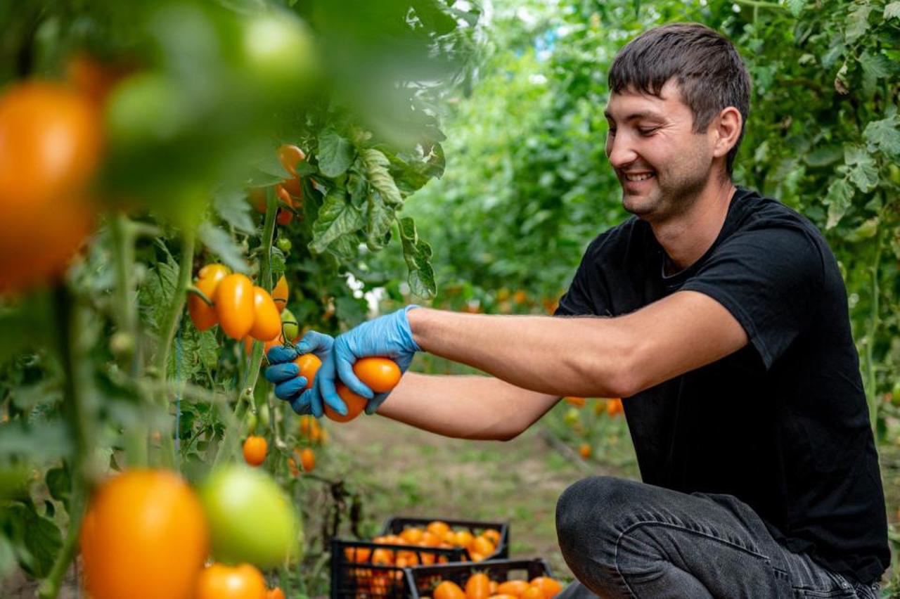 Moldova offers €16,000 grants to boost rural employment