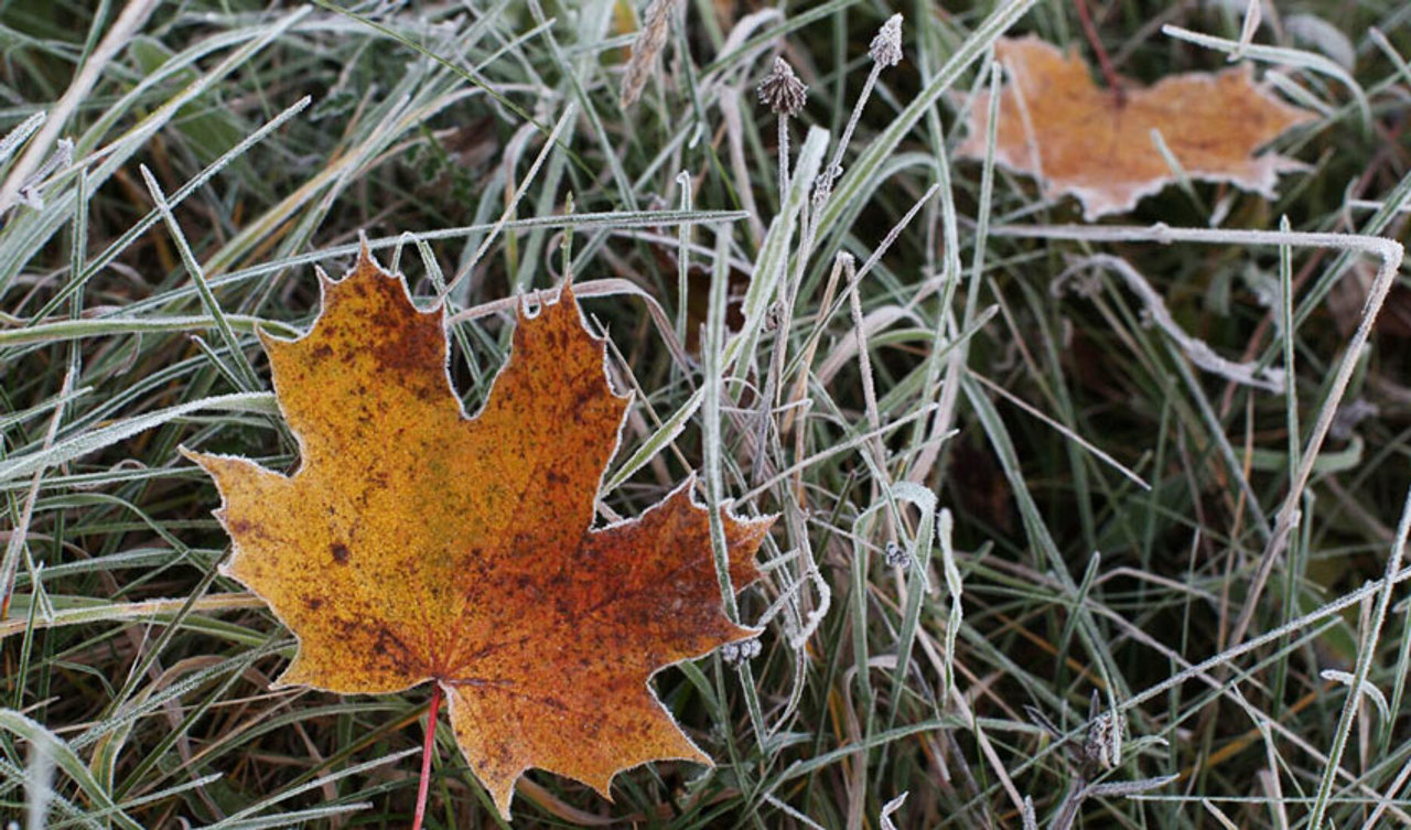 Yellow frost code across country this weekend