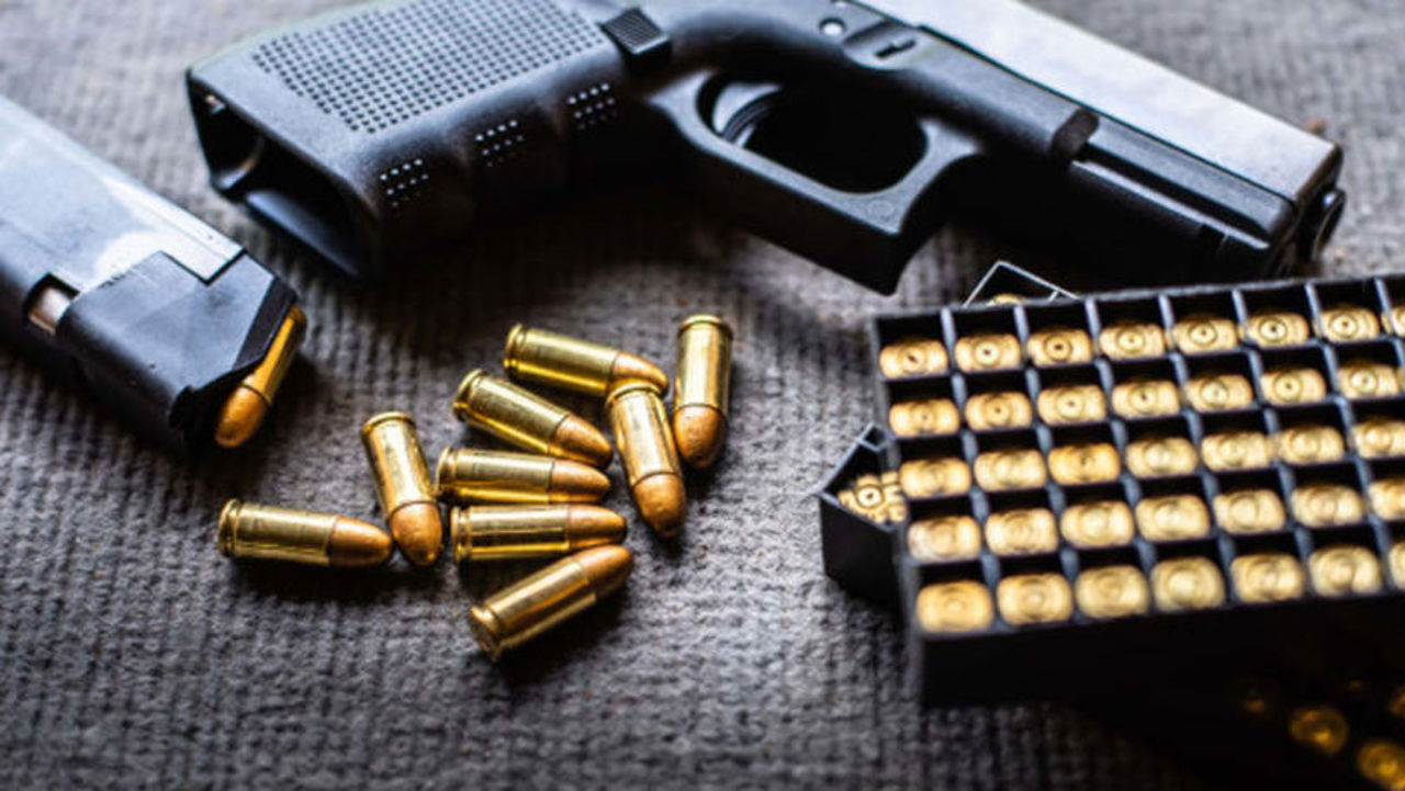 Parliament bans issuance of gun permits to residents of the Transnistrian region