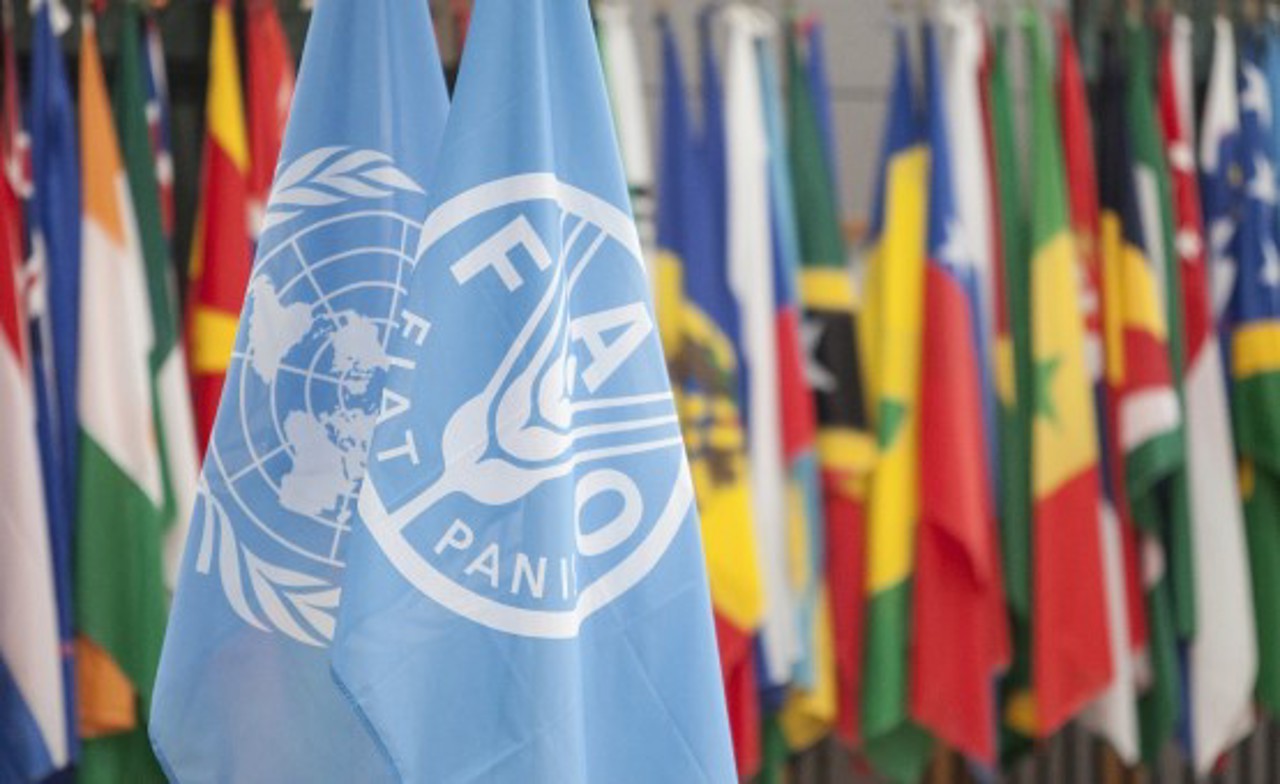 FAO Conference Moved: Moldova Bars Russian Officials