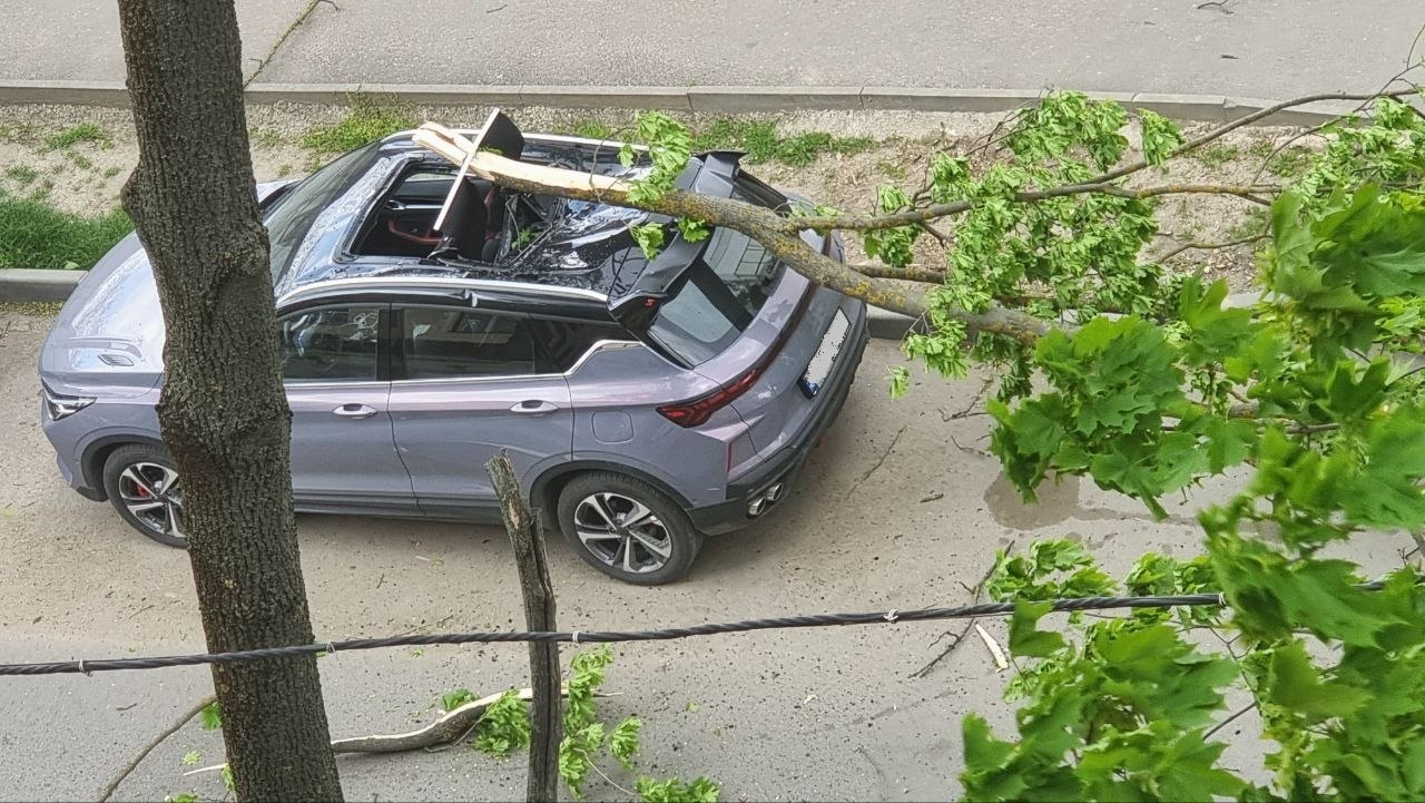 Cod portocaliu de vânt puternic: Drumuri blocate de copaci doborâți, pomi căzuți peste mașini și puncte de trecere a frontierei blocate 