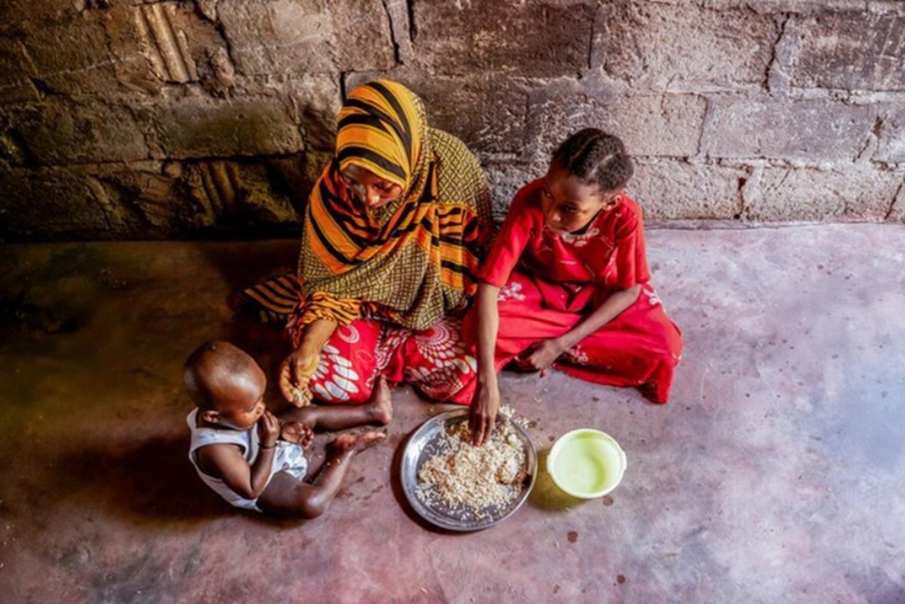 FAO: Aproape 645 de milioane de oameni au suferit de foamete în 2025. Africa rămâne cea mai afectată regiune