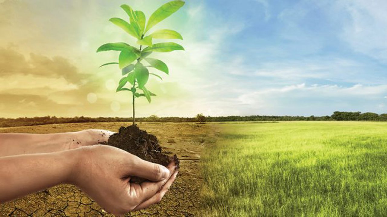 Impactul schimbărilor climatice asupra agriculturii, discutat de experți străini reuniți la Chișinău