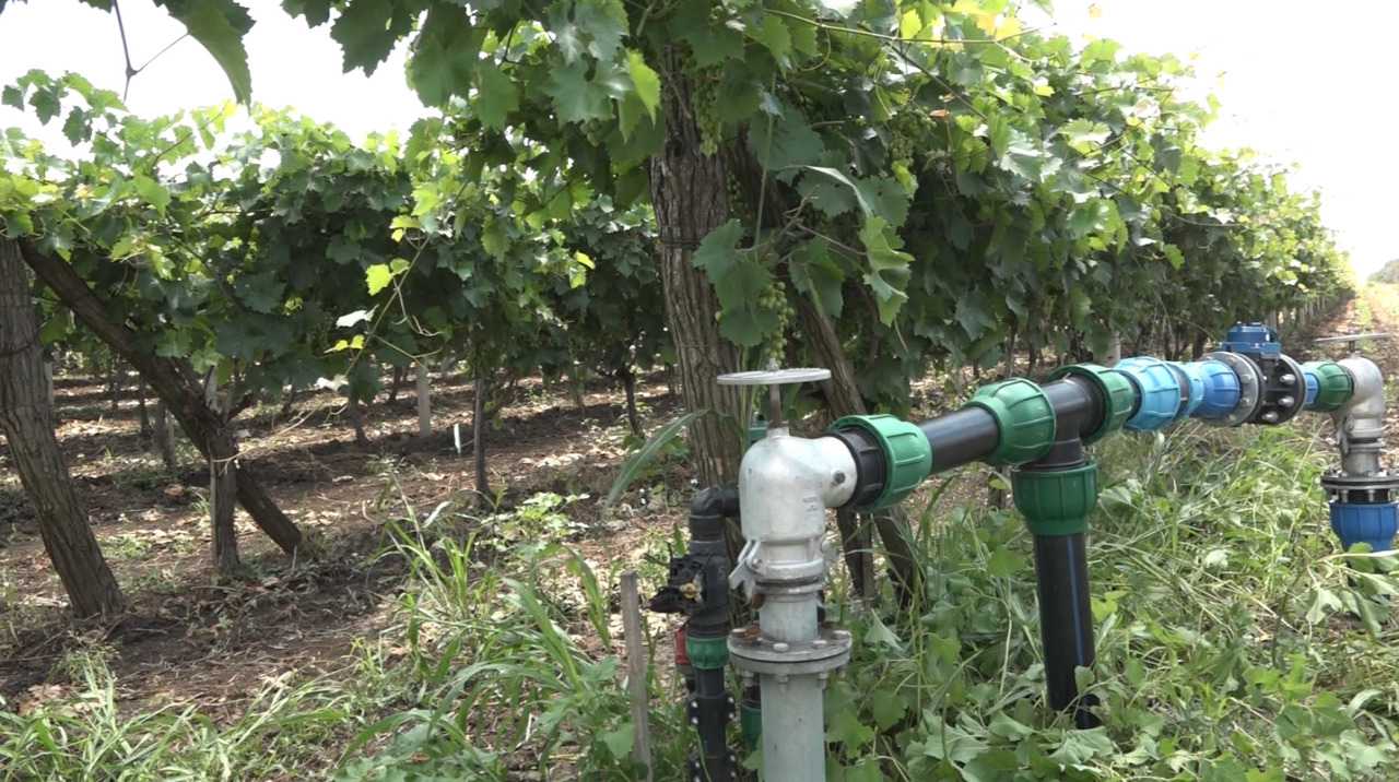 Investiție de peste 10 milioane de lei pentru irigarea terenurilor agricole din satul Pelinei