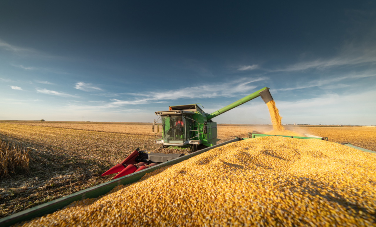 Agricultorii se plâng că prețul de vânzare a cerealelor este foarte mic, în condițiile în care depozitele sunt pline cu grâne