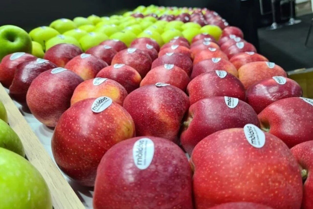 Exporturile de fructe, afectate de înghețuri și fluctuațiile pe piața europeană: Republica Moldova vinde mai multe mere, dar mai puține caise și struguri