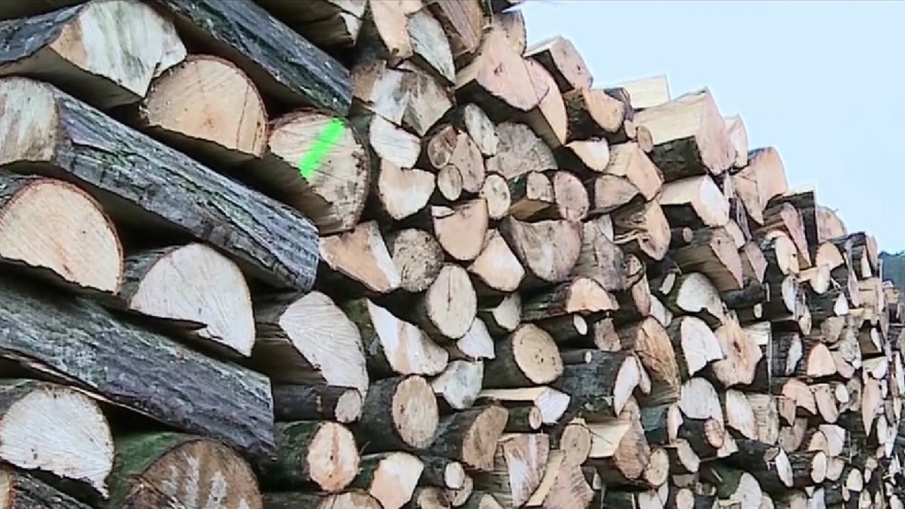 Peste 100 de gospodării din comuna Telița, raionul Anenii Noi, primesc lemne de foc