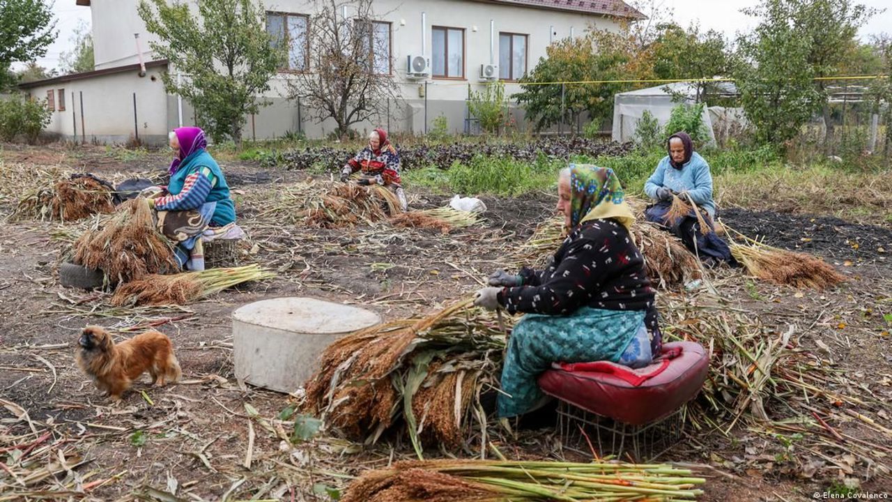 „Țara măturilor”: tradiția care ține în viață satul Caracușenii Vechi