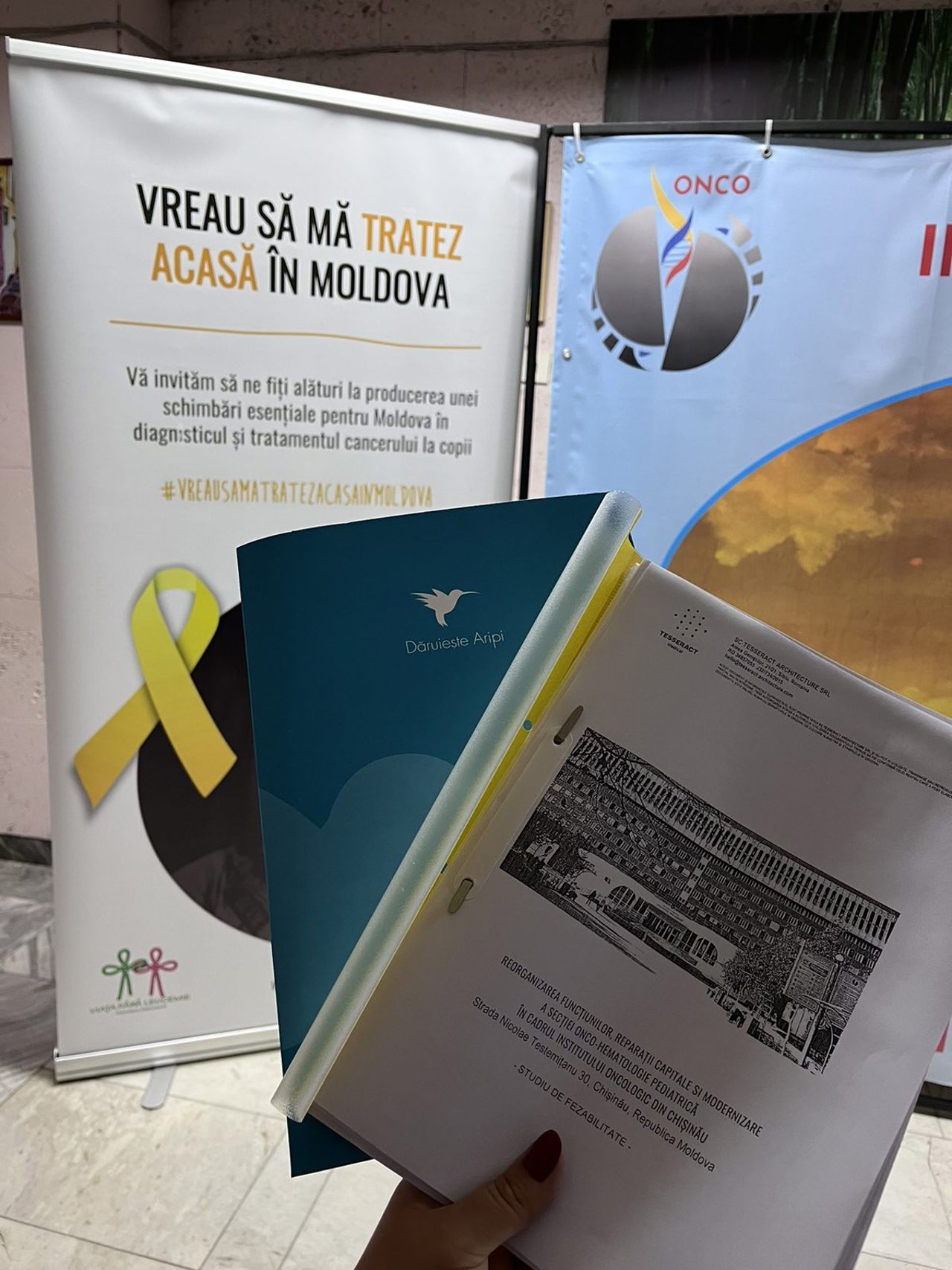 viatafaraleucemie.md