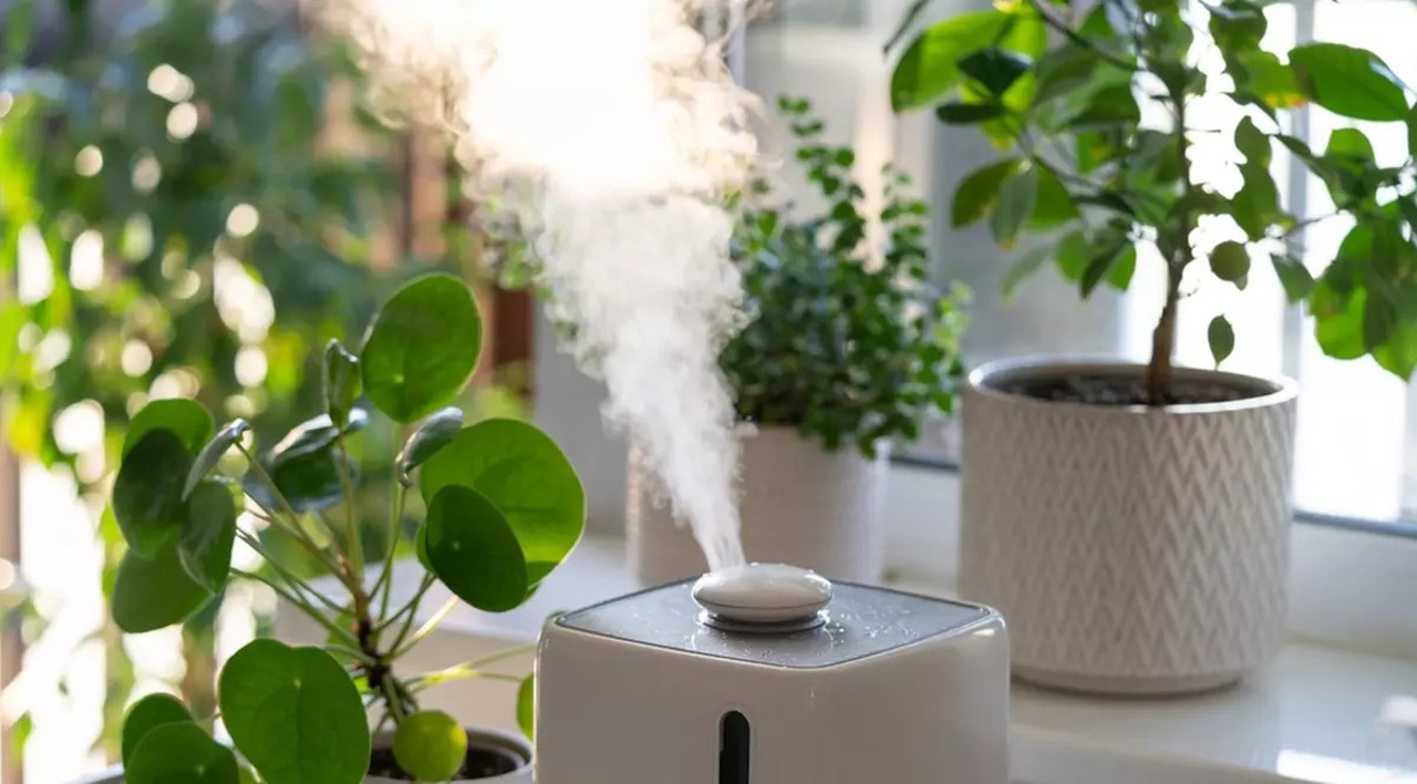 Indoor humidity risks: How to protect your health and home