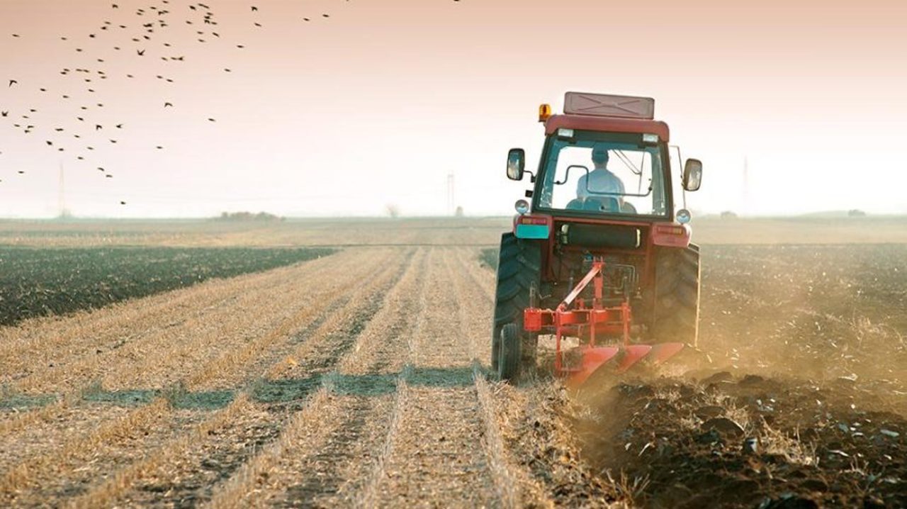 Fermierii anunță din nou proteste. Ministra Agriculturii: „Discutăm pentru a găsi soluții rapide și eficiente”