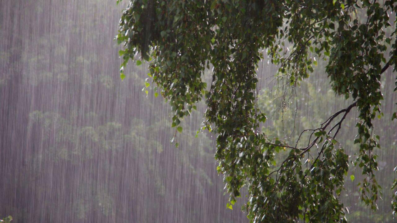 Weekend weather: Rain, temp drop expected