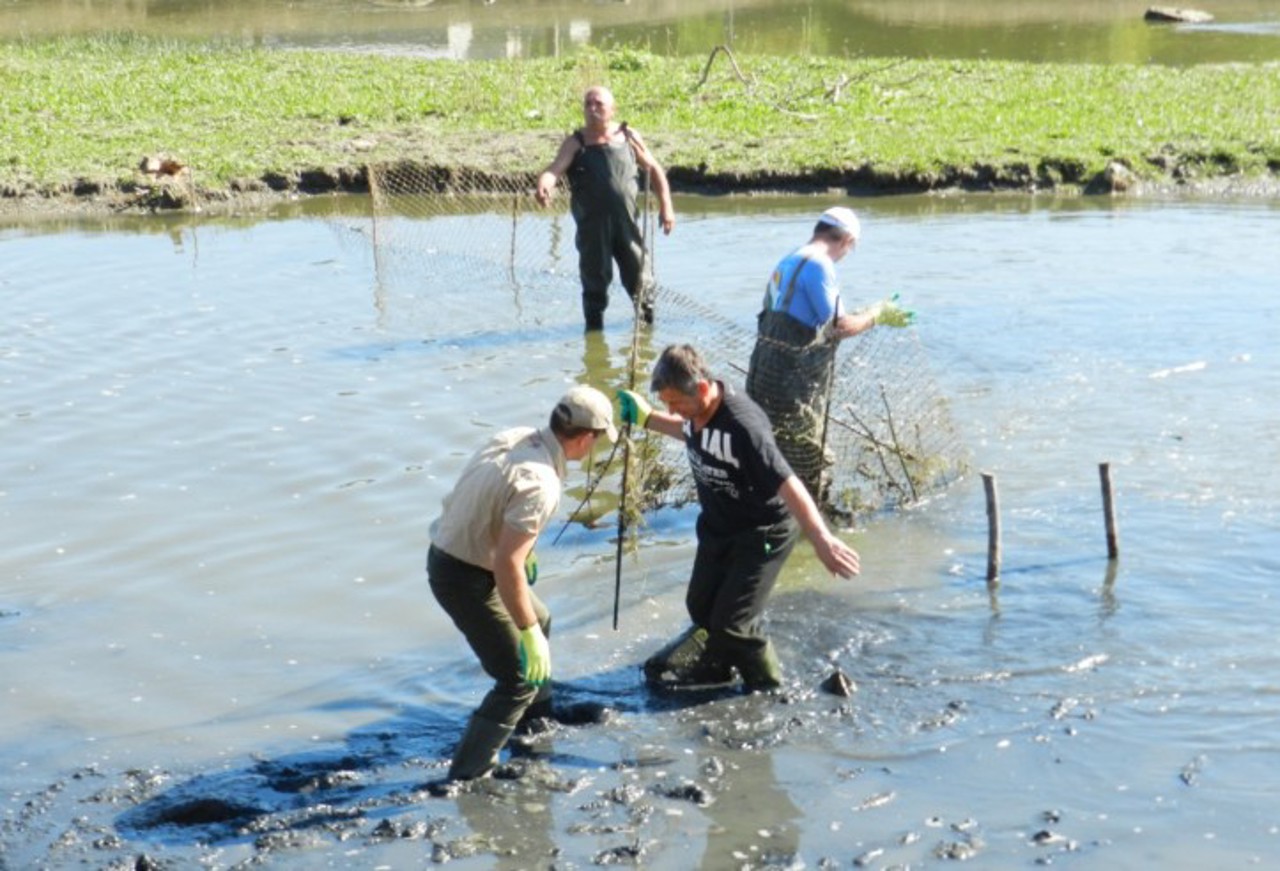 Albiile râurilor din R. Moldova, reabilitate pe o distanță de peste 70 km. Investiții de 70 de milioane de lei