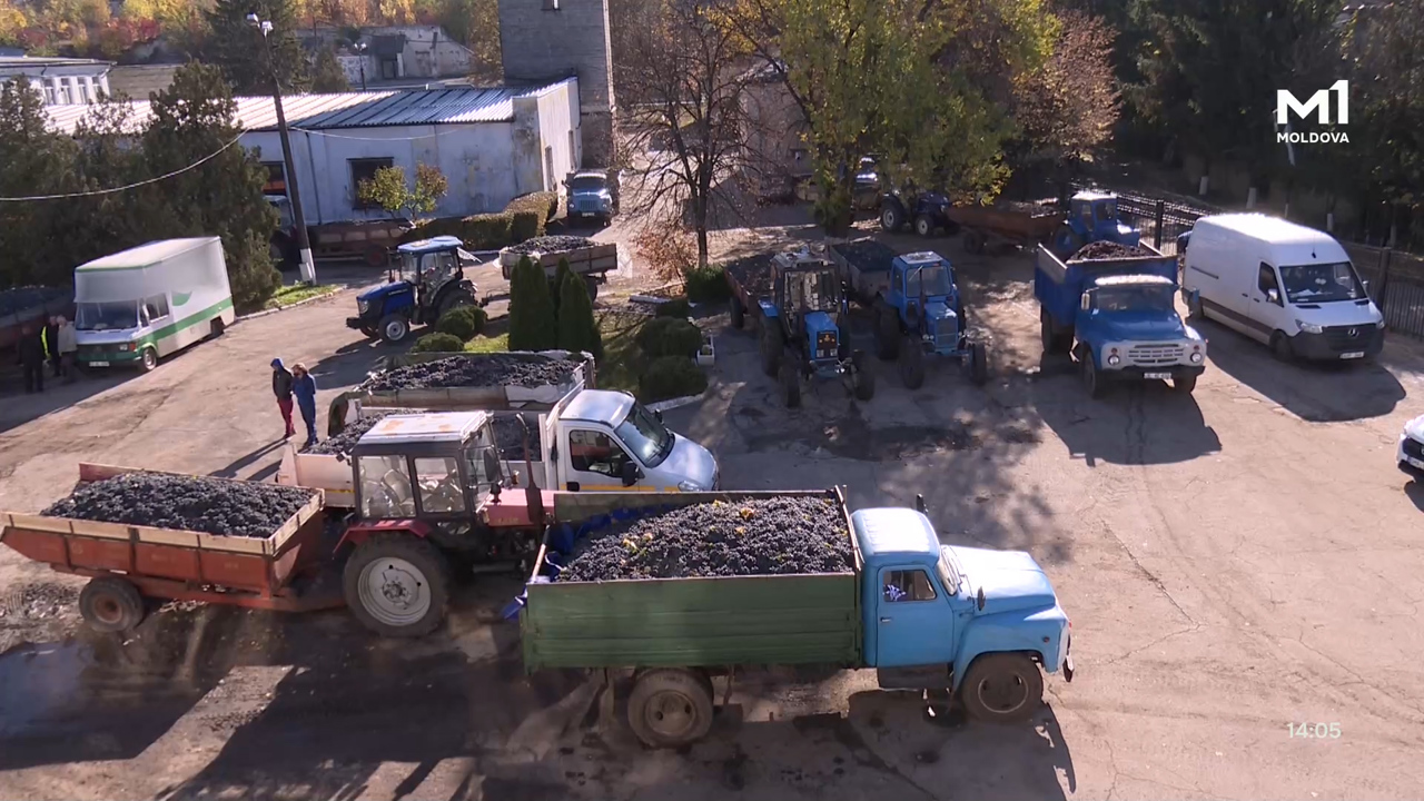 „Pământ și Oameni” din 26 octombrie 2025	