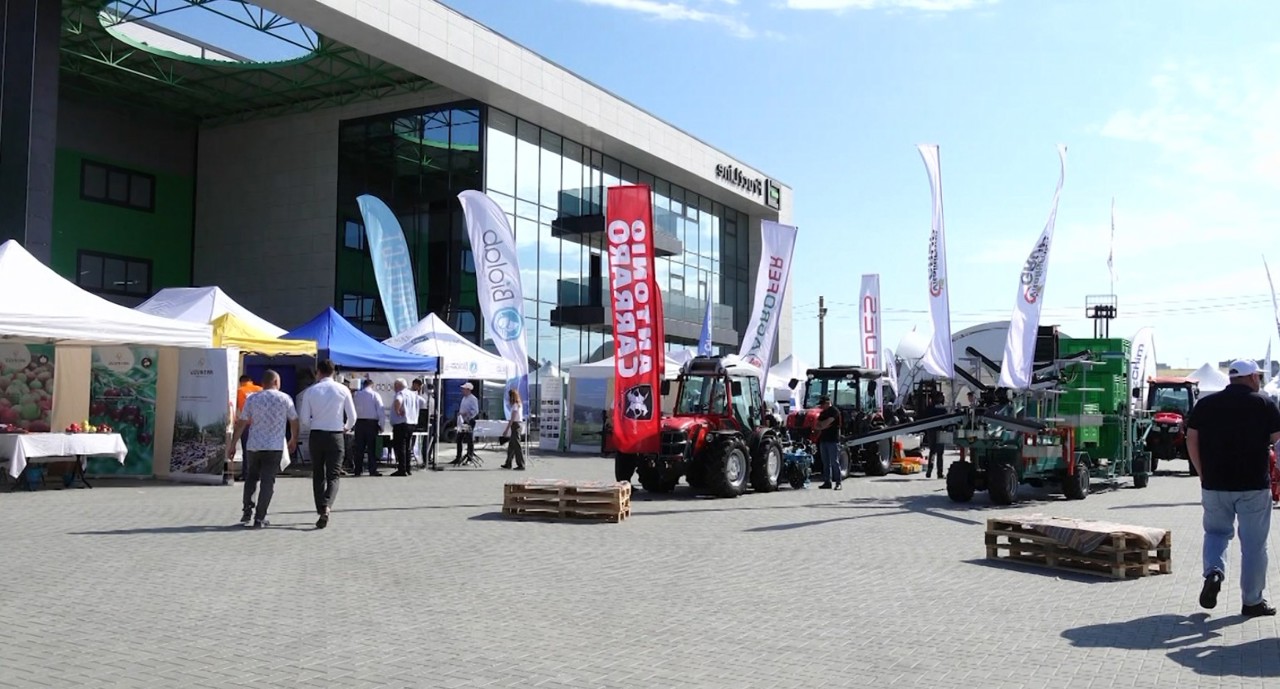 Village of Corlăteni turns into horticultural innovation hub