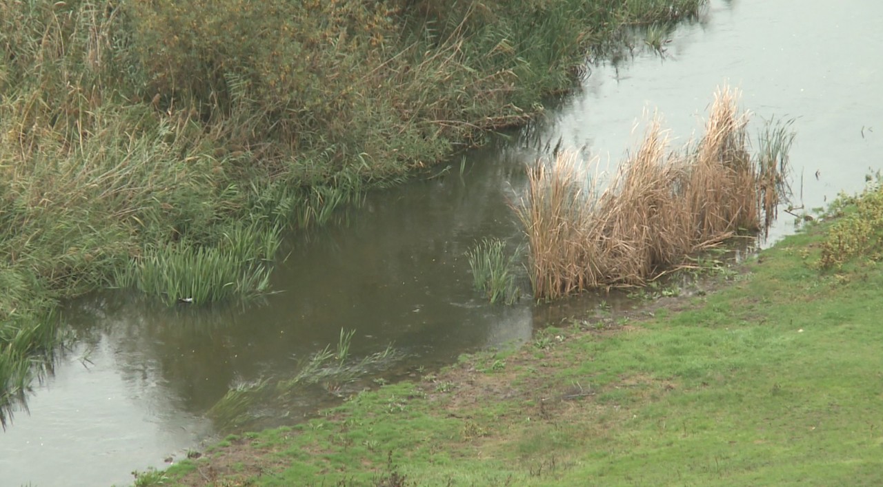 The Răut River faces severe pollution; locals and authorities call for urgent action