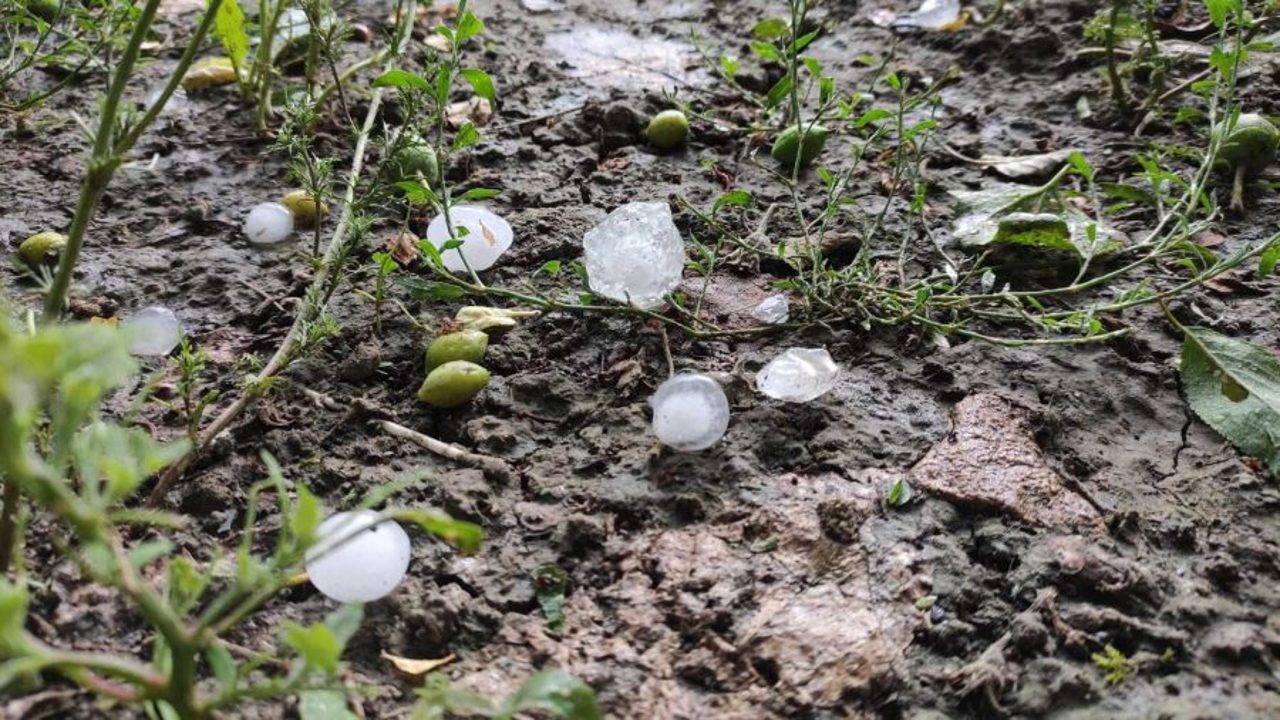 Yellow code for unstable weather: Short showers with lightning, hail and thunderstorms are expected