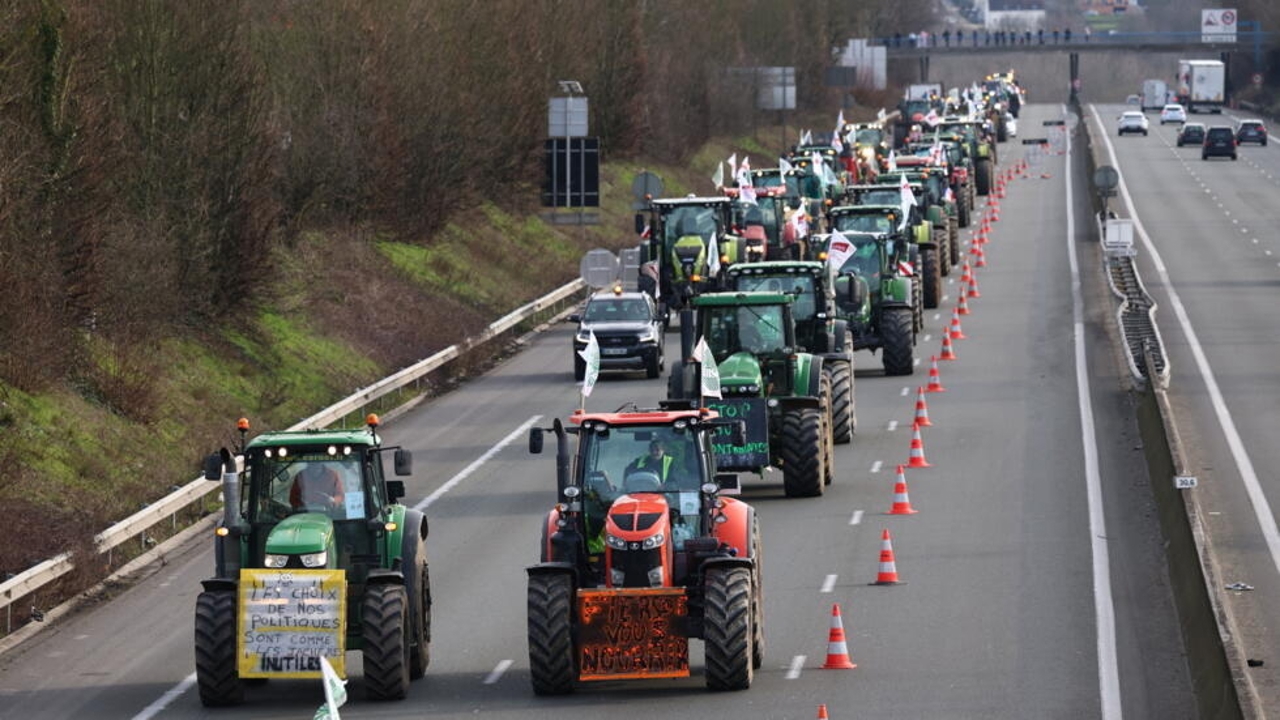 EU farmers protest rising costs, cheap imports