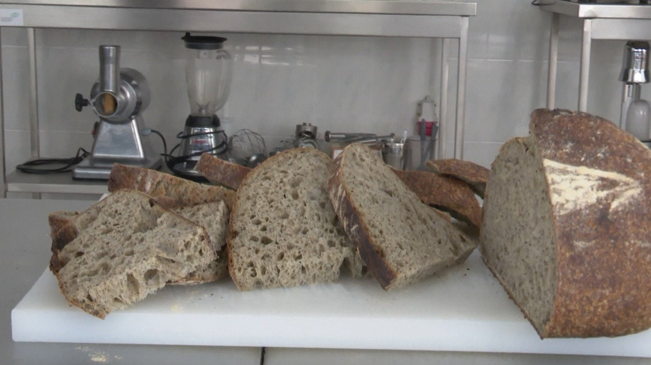 Moldovan scientists at TUM pioneer hemp-fortified bread following industrial legalization