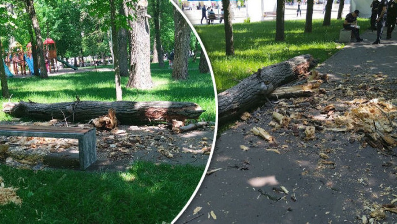 Дело о гибели ребёнка в парке «Алунелул»: Уголовное дело передано в суд