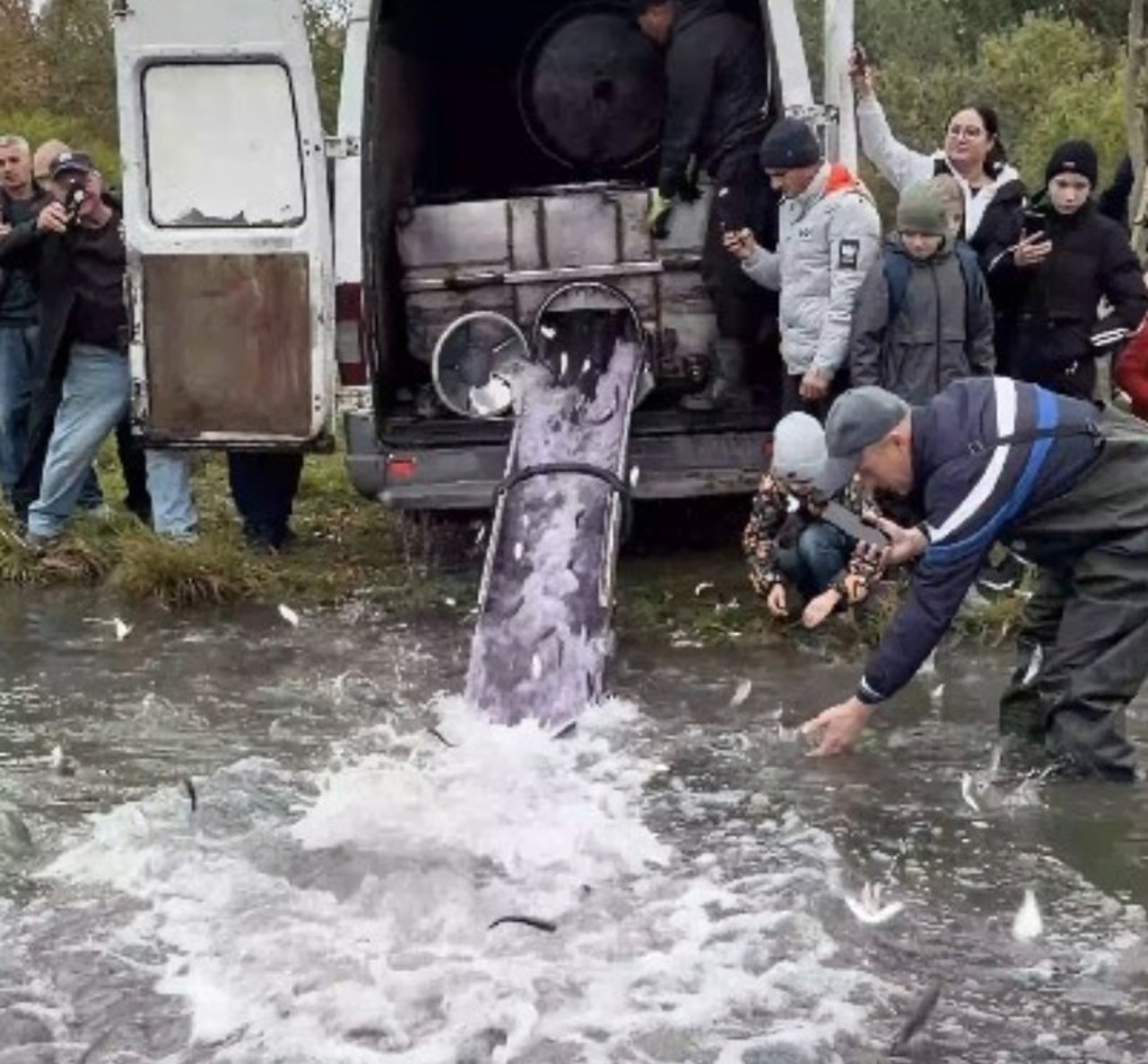 La Chișinău a început popularea lacurilor cu pește. Sute de kilograme, eliberate în lacul din Parcul „La Izvor” 