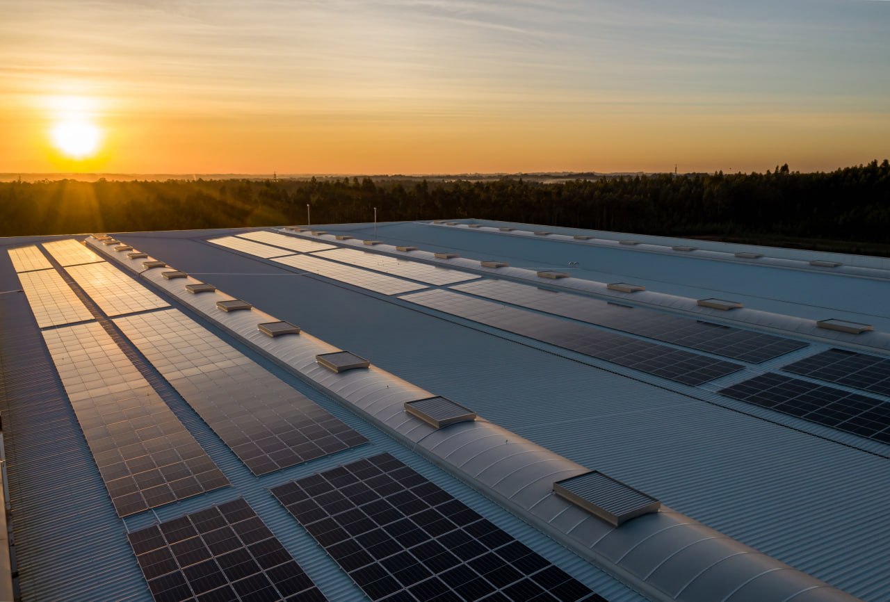 Proiectele de energie regenerabilă, autorizate mai simplu: Guvernul digitalizează procedurile și actualizează regulile pe piața biocarburanților