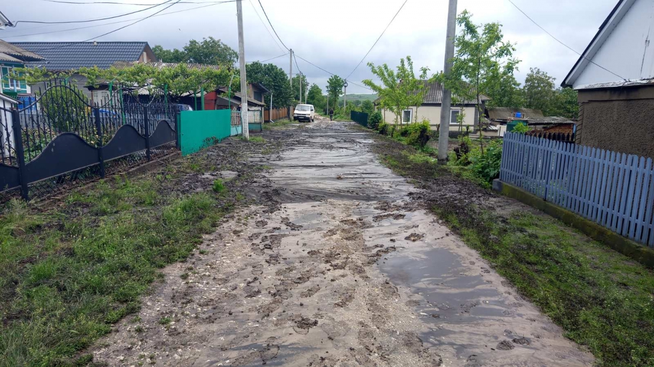 Consecințele ploilor // Gospodării și drumuri inundate, arbori - doborâți de vânt
