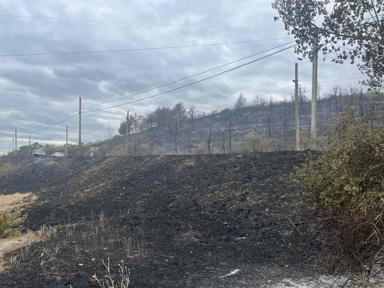 Incendiu de vegetație la Copanca: două persoane evacuate și 200 ha de pădure salvate de pompieri