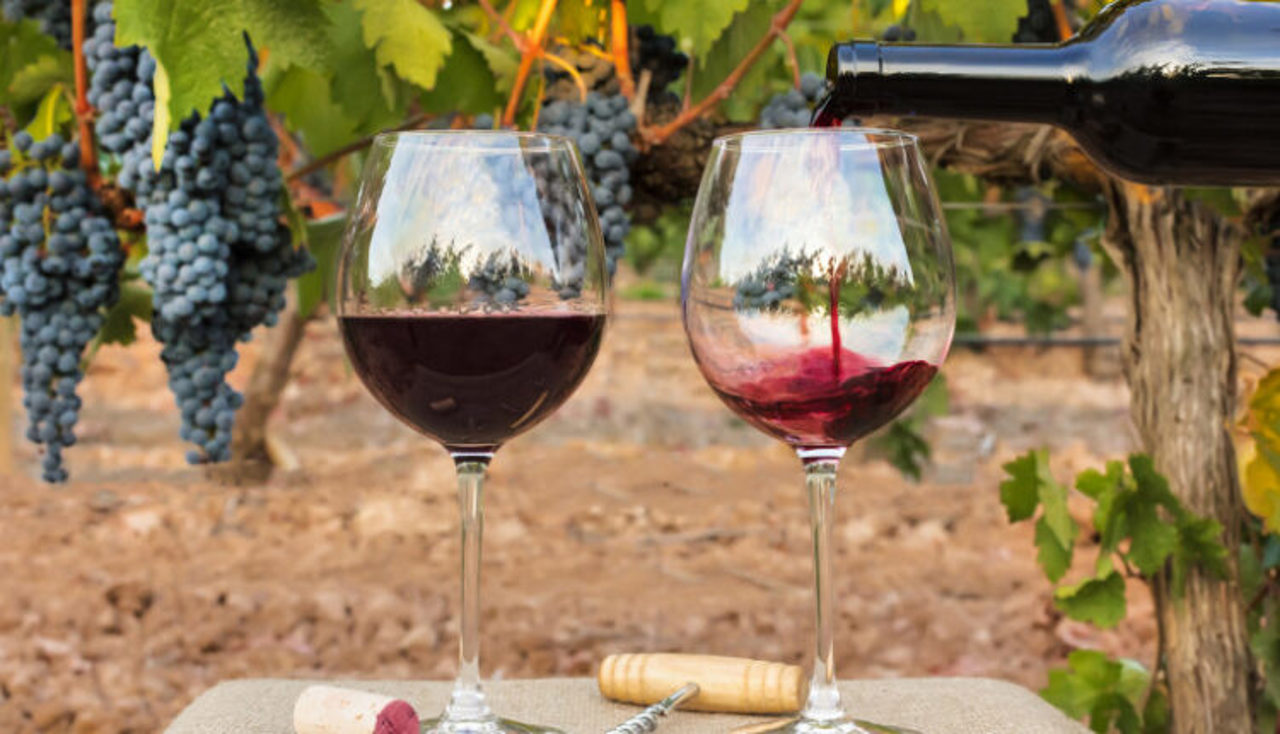 Principala destinație a exporturilor moldovenești în 11 luni ale lui 2023 rămân țările UE, cu o pondere de peste 65 la sută