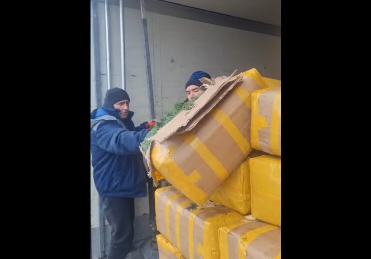 Moldova: ANSA orders disposal of 15 tonnes of dill over pesticide contamination