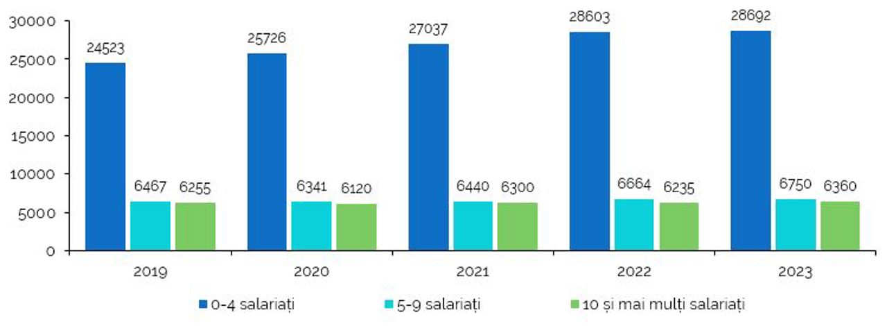 Numărul întreprinderilor active pe clase de mărime, mii întreprinderi,
