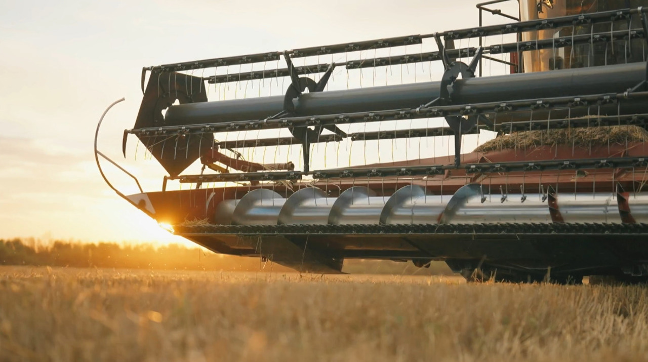 25 years of IFAD in Moldova: $267M invested, thousands supported in rural areas