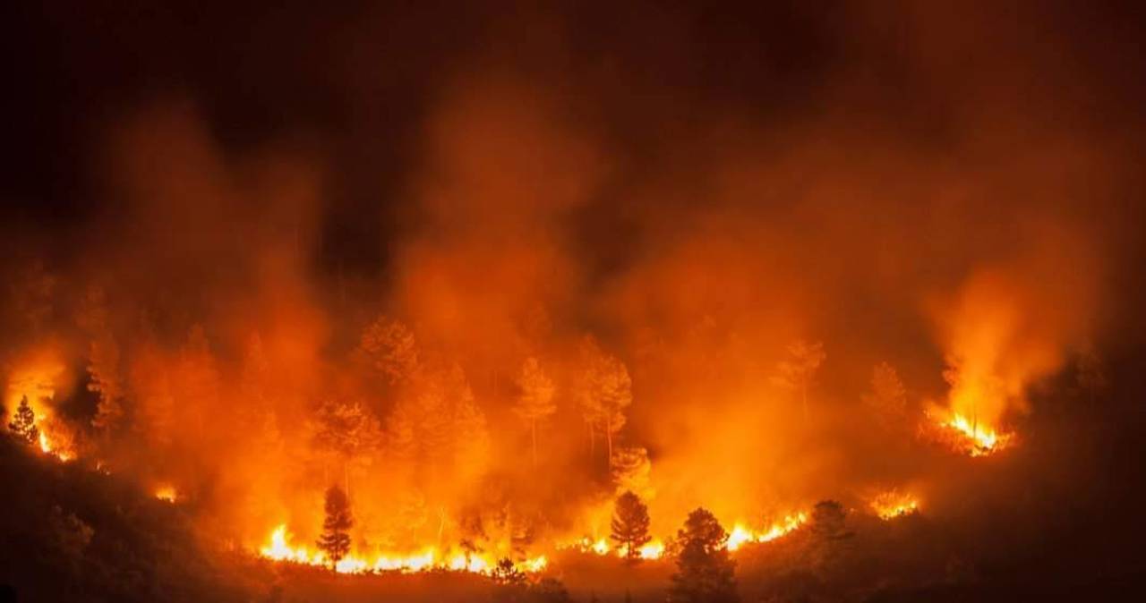Europa sub foc: Spania, Muntenegru, Portugalia și Turcia luptă cu incendiile