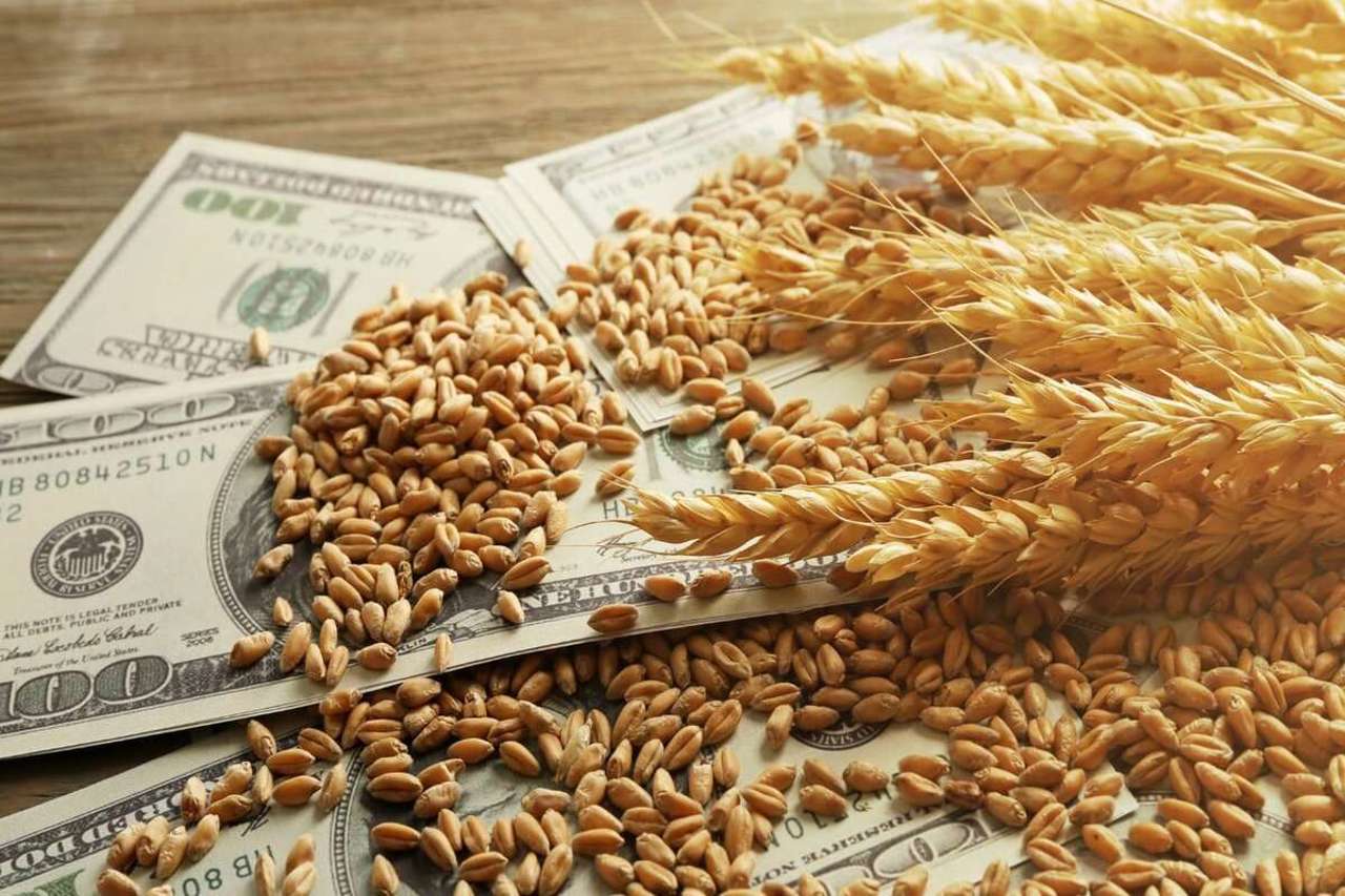 Sprijin pentru asigurarea în agricultură: AIPA a recepționat cereri în valoare de 19.64 milioane de lei