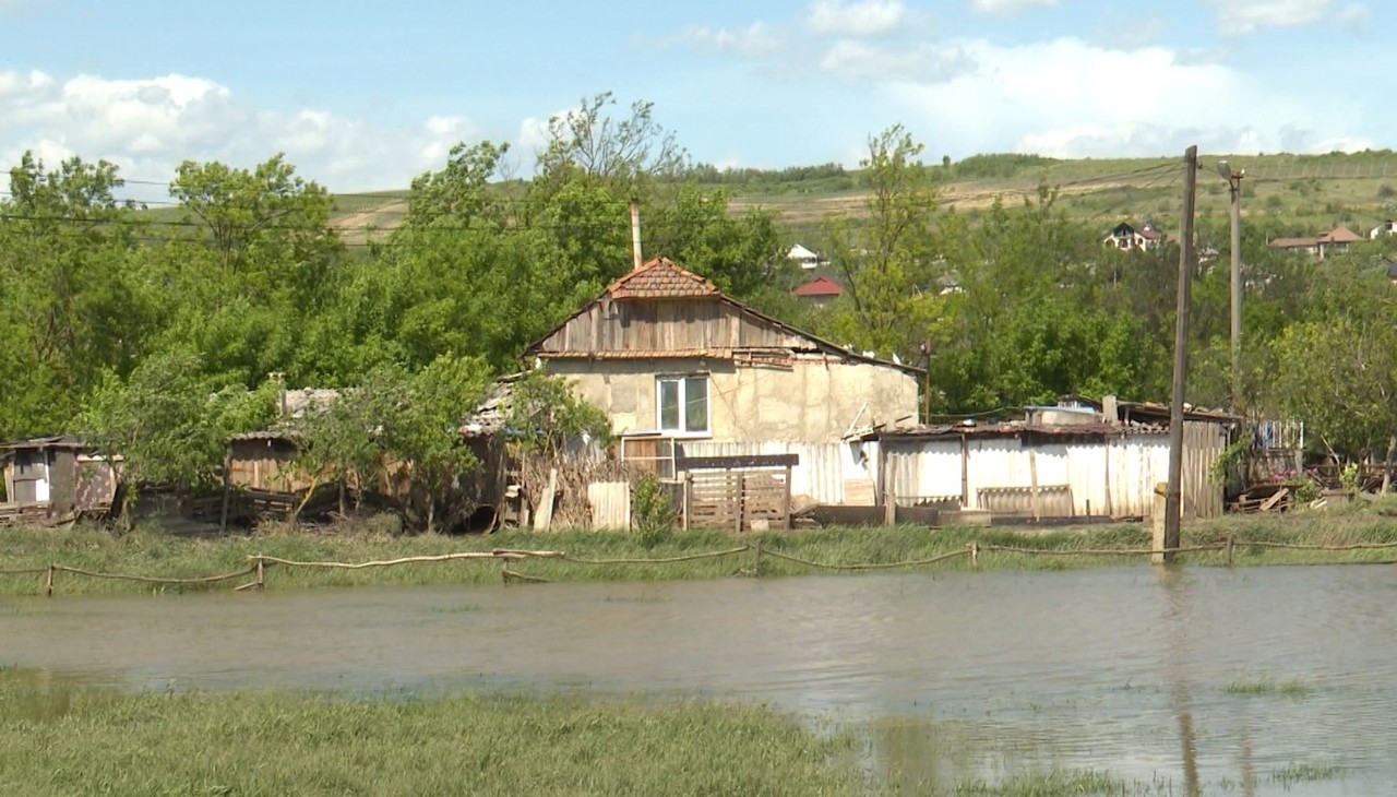 Localnicii din Greblești, grav afectați de inundații: Terenuri și mașini inundate, case avariate și sere compromise 