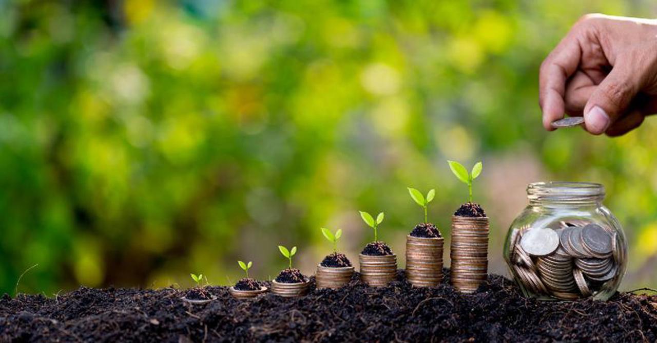 AIPA: Peste 85 de milioane de lei au ajuns pe conturile agricultorilor pe parcursul săptămânii precedente