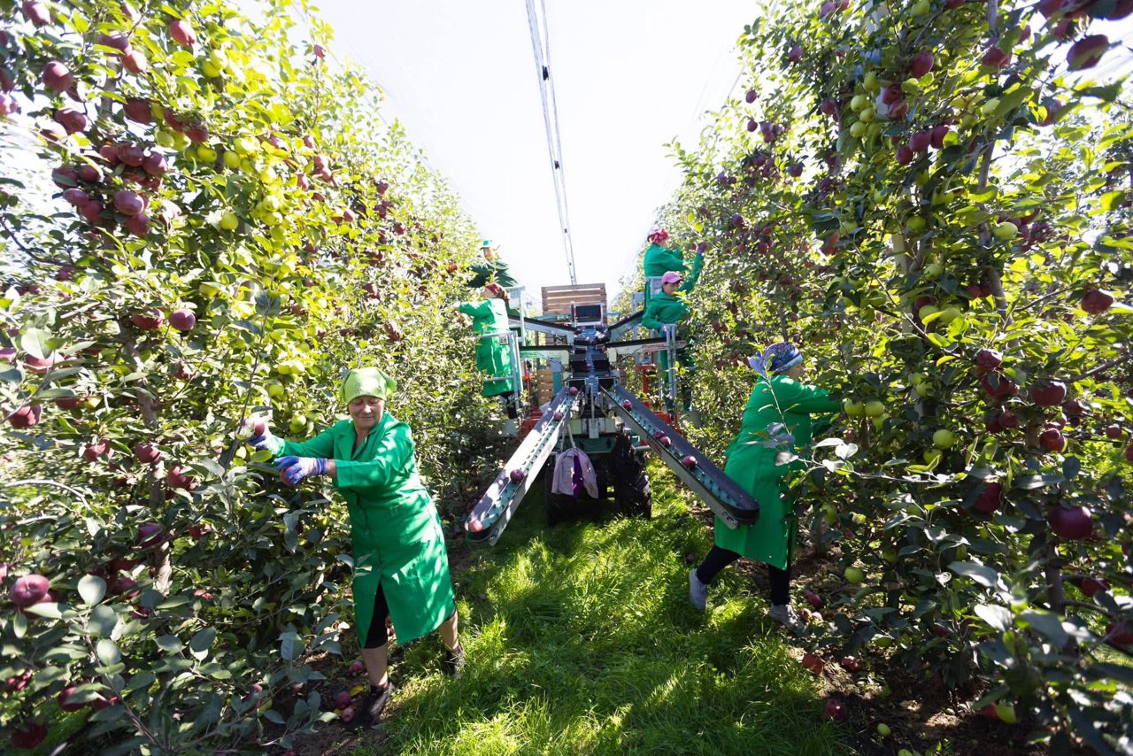 Messages from the country's leadership on International Workers' Day: "Every profession is valuable, we thank everyone who performs their work with dignity"