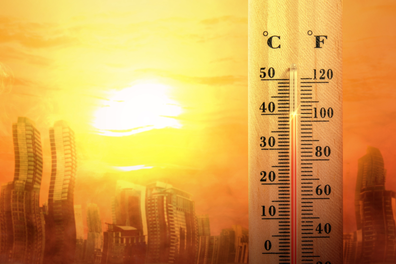 Vremea a luat-o razna: Peste 40°C în mai multe state europene, ploi torențiale în Japonia și SUA